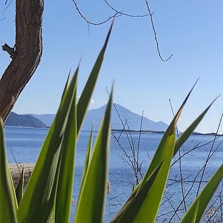 Tsaira Apartman Amulianí