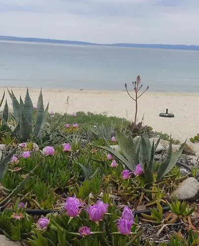 Tsaira 公寓 阿莫利亚尼岛