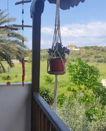 Tsaira * 阿莫利亚尼岛