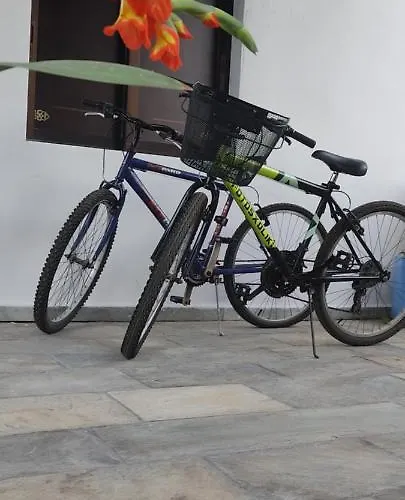 Tsaira * 阿莫利亚尼岛